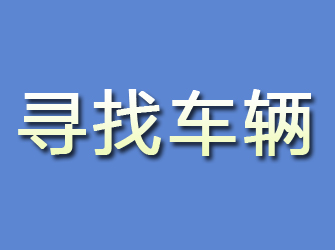 寻找车辆
